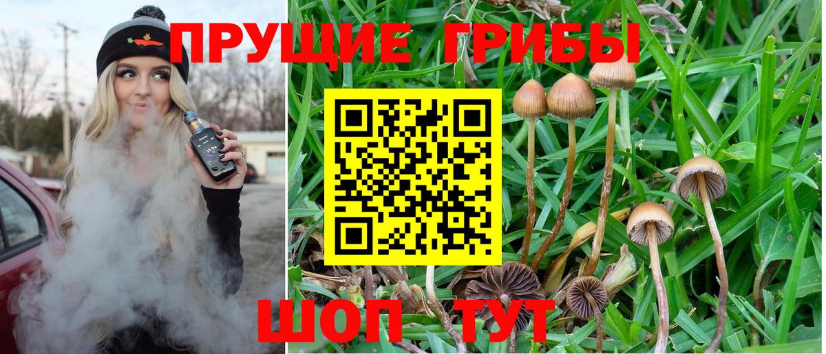 Иваново  Галлюциногенные грибы MAGIC MUSHROOMS  Вход с VPN 